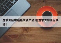 加拿大区块链最大资产公司[加拿大禁止区块链]